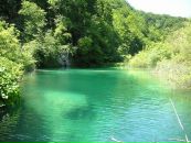 Фотография Верещагиной Марии