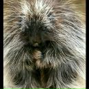 Фотография Жербиной Анны