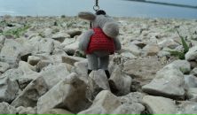 Фотография Выручаевой Татьяны