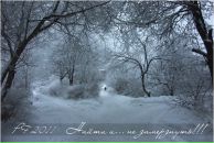 Фотография Жук Елены