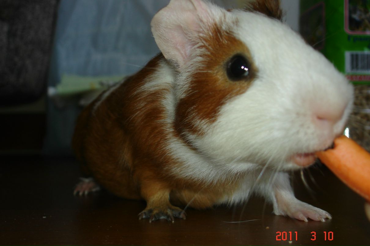 Сергей Ким фотография #12