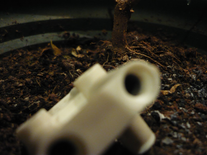 Сергей Луговых фотография #47