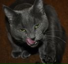 Фотография Кротовой Екатерины