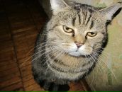 Фотография Петлевого Михаила