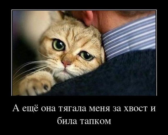 Фарид Гайсин фотография #25