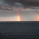 Фотография Рысь Юлии