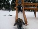 Івано4ка Хомяк фотография #25 (источник - https://vk.com/id155603694)