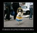 Віталік Вольт фотография #27 (источник - https://vk.com/id2228781)