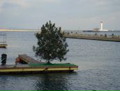 Марічкасмерічка Тарасюк фотография #38 (источник - https://vk.com/id7607663)