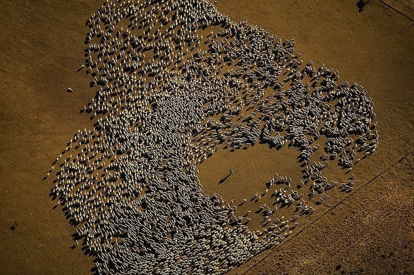 Ирина Мальцева фотография #32