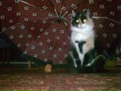 Фотография Жирякова Андрея