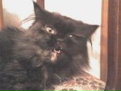 Фотография Заречновой Наталии