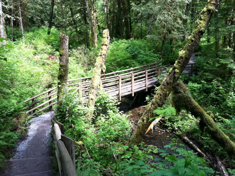 Федор Гончар фото №30