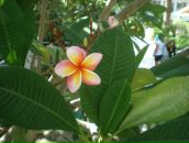 Фотография Буркацкой Анны