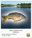 Ігор Крупела фотография #9 (источник - https://vk.com/id83319063)
