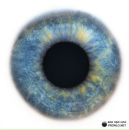 Наталія Гритчак фотография #49 (источник - https://vk.com/id47452160)