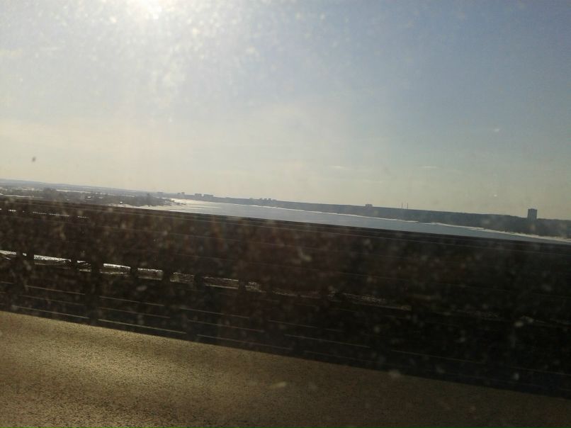 Софья Курыгина фотография #43