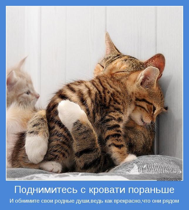 Sev Danil фотография #46