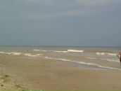 Dimon__ Кукал фотография #40 (источник - https://vk.com/id72558537)