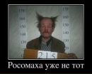 Мішаня Голіней фотография #49 (источник - https://vk.com/id133700225)