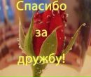 Ştefan Bujor фотография #49 (источник - https://vk.com/id142657771)
