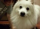 Vika_vika. ♥круче gucci♥ фотография #1