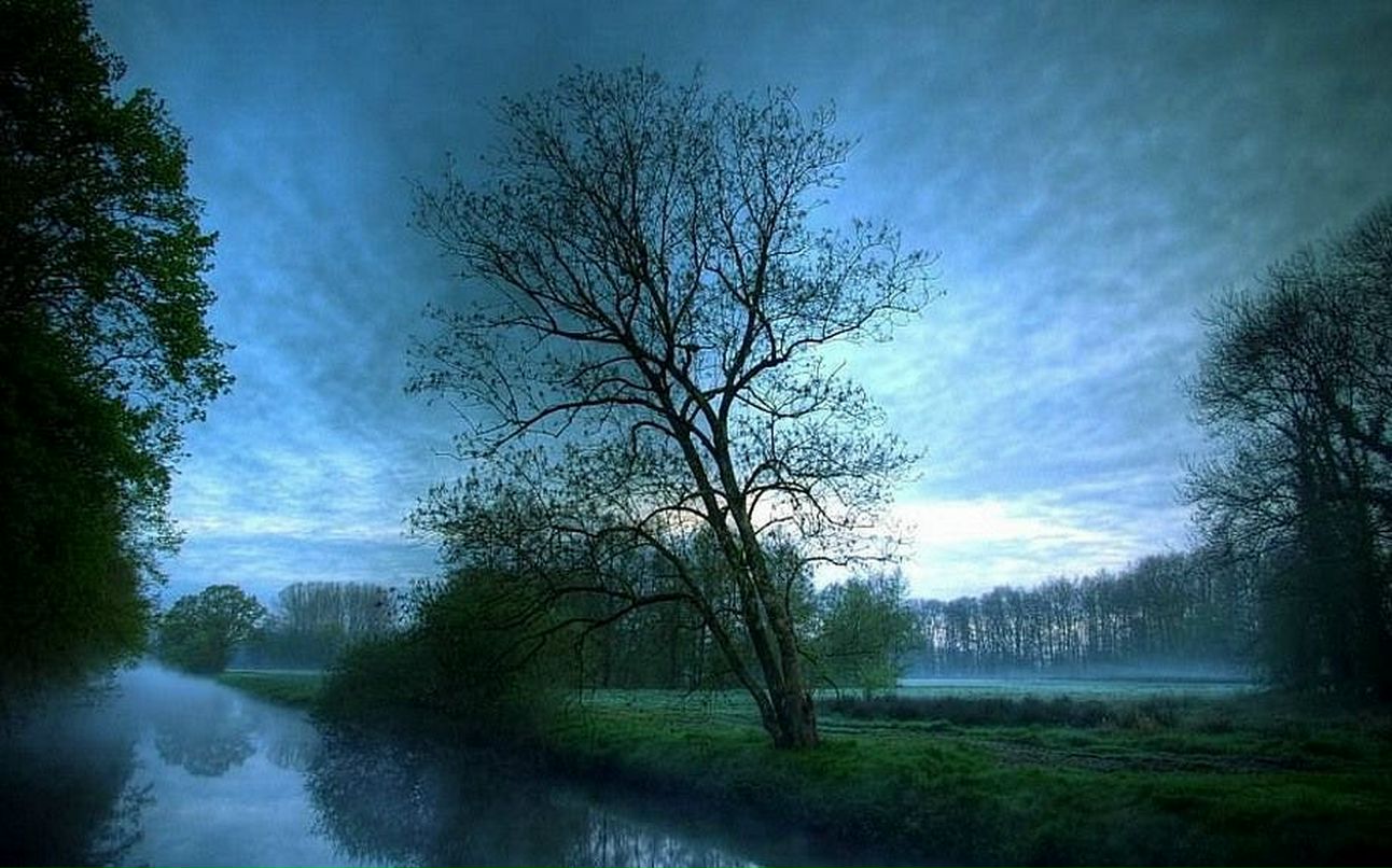 Andrei Knel фотография #31