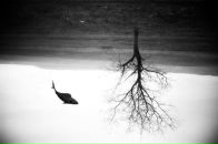 Макс Спицын фотография #45 (источник - https://vk.com/id3824919)