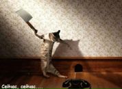 Фотография Кова Андрея