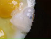 Фотография Гусевой Екатерины