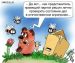  фотография #36