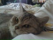 Фотография Кирьяновой Ирины