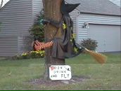 Фотография Терещенко Елены