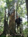 Ігор Осідач фотография #33 (источник - https://vk.com/id17389686)