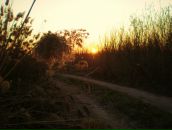 Фотография Россовский Валерий