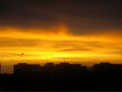 Илья Анищенко фотография #38 (источник - https://vk.com/id512787)