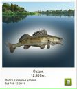 Андрій Кирилич фотография #37 (источник - https://vk.com/id72602419)