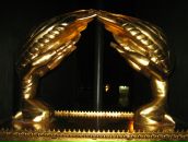 Фотография Казарновского Кирилла