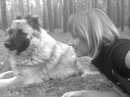 Фотография Wild To-Be