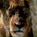 Едік Проскурін фотография #15 (источник - https://vk.com/id187627103)