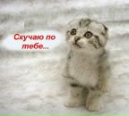 Ігор Моржинський фотография #37 (источник - https://vk.com/id49517044)