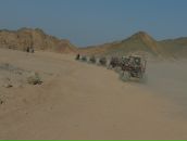 Сергій Татарин фотография #40 (источник - https://vk.com/id42084422)