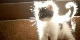 Фотография Мокшановой Ольги