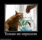 Ігор Зубенко фотография #23 (источник - https://vk.com/id1185620)