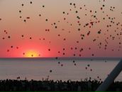 Иван Ковешников фотография #10 (источник - https://vk.com/id17477587)