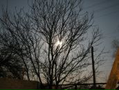 Фотография Погребенного Виталия