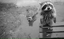 Фотография Шмидт Яны