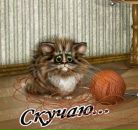 Фотография Черемных Жанны