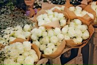 Мари Иванова фотография #3 (источник - https://vk.com/id1879093)