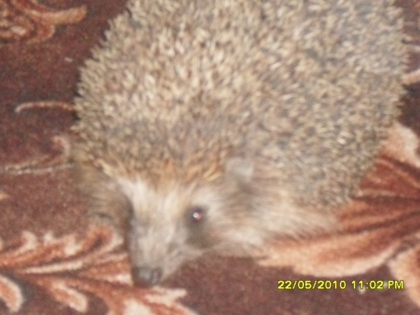 Сергей Сергеев фото №8